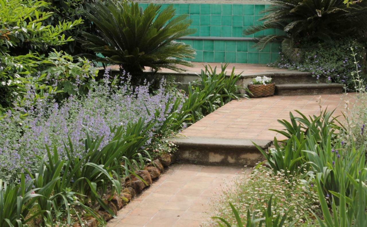 بارونيسي Iride Bed And Breakfast المظهر الخارجي الصورة